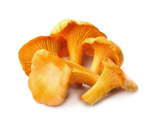 chanterelle-mushrooms-isolated-on-white-backgrounds_183352-947
